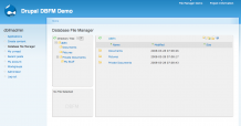 Database File Manager